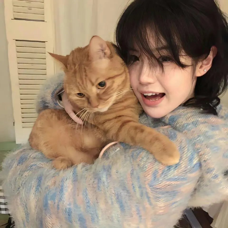 假如猫从世界上消失了